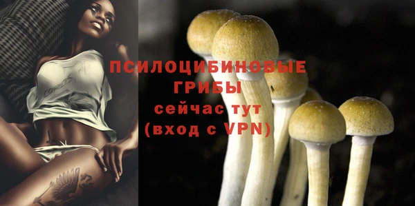 спайс Заволжье