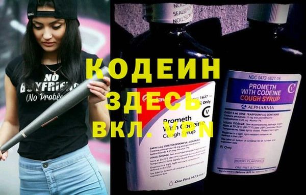 скорость Заводоуковск