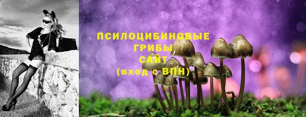 скорость Заводоуковск