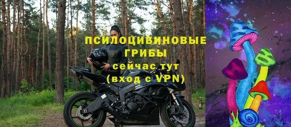 spice Верхний Тагил