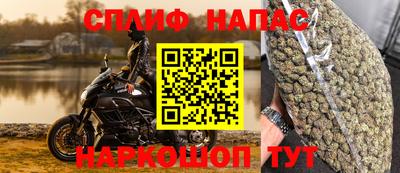 амф Камышлов