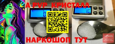 амф Камышлов