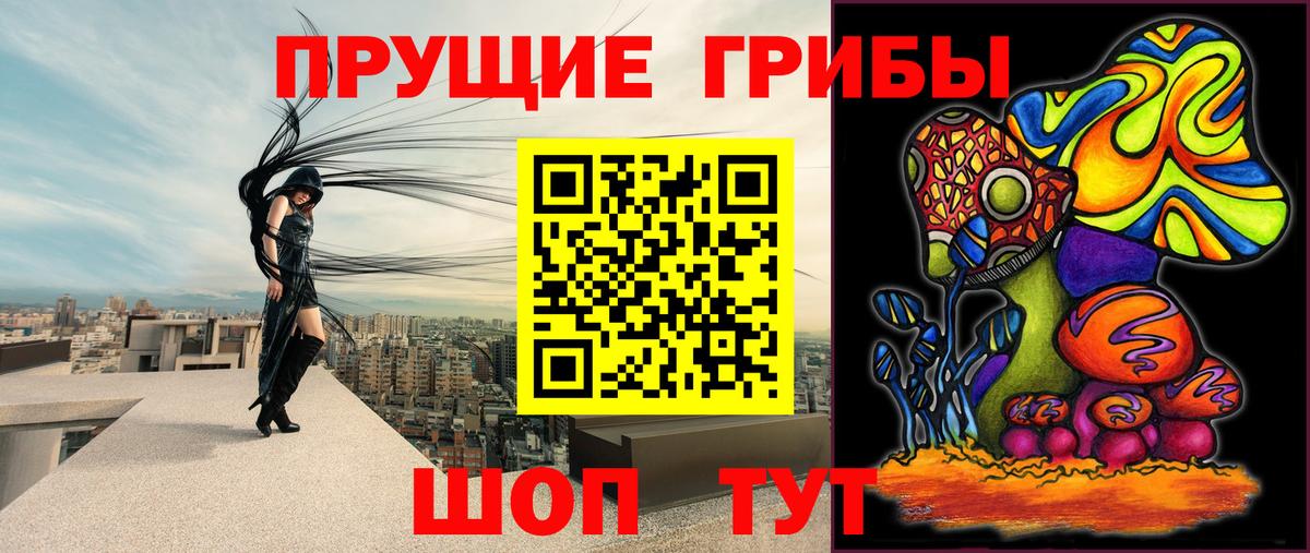 Галлюциногенные грибы GOLDEN TEACHER  Вход с VPN  Ноябрьск  Галлюциногенные грибы Psilocybine cubensis 