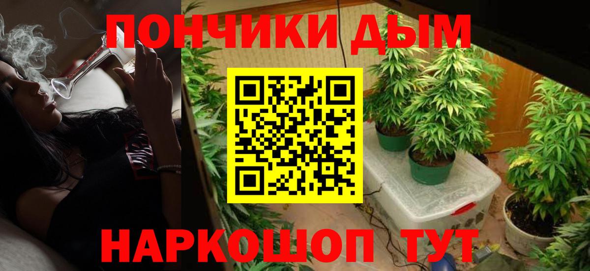 Ноябрьск  Шишки марихуана семена  Каннабис Amnesia  Бошки Шишки семена  Вход с VPN  Шишки марихуана планчик 